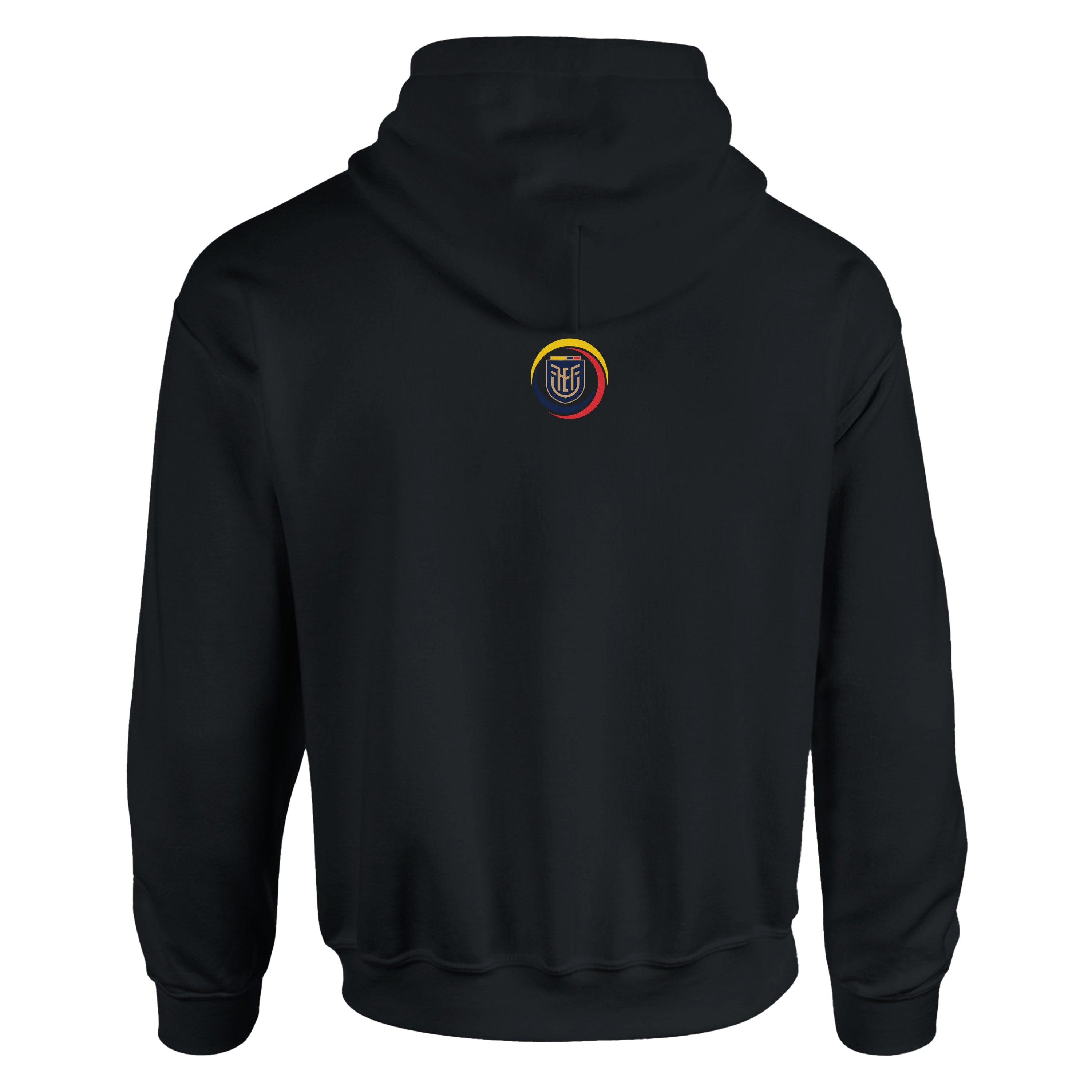 Black hoodie with a colorful logo on the back against a white background